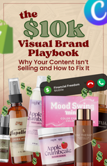The $10k Visual Brand Playbook