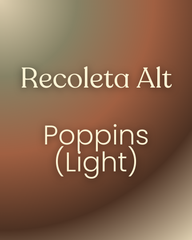 Typography Pairing Creation (custom)