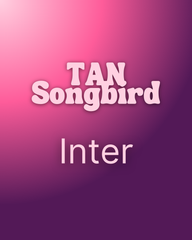 Typography Pairing Creation (custom)